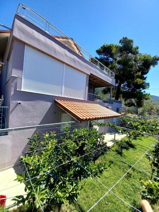 Guesthouse Eirini Porto Germeno 外观 照片